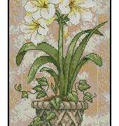 Dimensions - The Gold Collection Petites 6912 Amaryllis in Bloom XSD