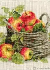 Riolis 1450 Ripe Apples