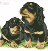 MDCraft My Design Company C025-161 Cute Pets 3 - Dachshund XSD