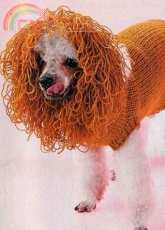 Unknown Designer-Dog Suit-Russian - Free