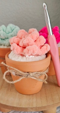 Knots Merry Yarn - Emily Lopez - Succulent