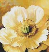 I Love CrossStitch LA-004 - Poppy Portrait