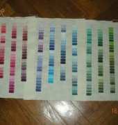 Palette of DMC