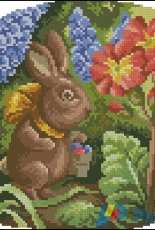 Les Droles de Petites Betes - Adrien le Lapin XSD