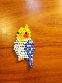 beads a parrot!
