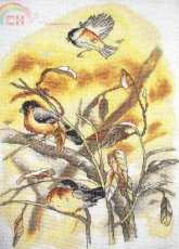 Birds Frosty Morning from Kram z Robótkami 3/2011 Special addition. Christmas Holidays XSD