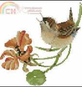 Heritage Stitchcraft - Valerie Pfeiffer Solos VPSW569 Simply Wren XSD