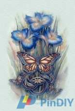 HAED HAEJB 008 A New Day Has Come by Jody Bergsma