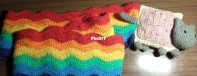 Nyan Cat Scarf