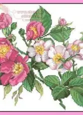 Dark & Light Roses from Leisure Arts 3493 Pillows from Paulas Garden