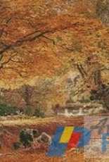 Artecy Cross Stitch - Burnham Beeches