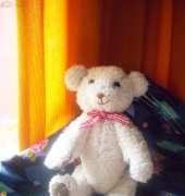 My baby teddy