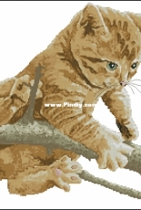 Cat From Cross Stitcher Russian