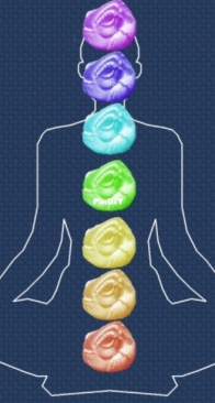 Лис Аншара - ЧАКРЫ - Дина Руд - 2211-01 - Chakras - Dina Rude - Russian -  Free