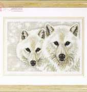 Dimensions 35168 - Artic Pair