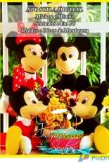 Costurando Sonhos by Zilma Rocha Atelie Mickey e Minnie Felt pattern
