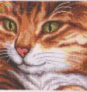 Vervaco 30.170 / 2002 70.170 Close up cat