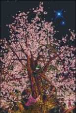 HAED HAEAIS 49391 Little Dreamers Tree by Aimee Stewart
