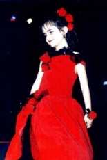 Childs dress Red Rose