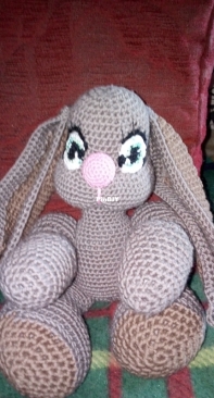 Rabbit