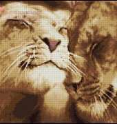 Zolotoe Runo DZH-028 Lions in Love XSD