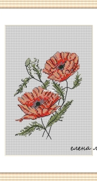 Poppies by Elena Lee