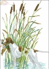 Eva Rosenstand ER 12-564 Gun Dog xsd + pcs