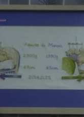 Birth record to my sons :)