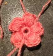 Puff flower
