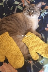Basket Case Mittens by Kerid From Fleece