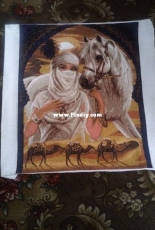 Arabic princess