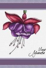 Lkacross - Fuchsia by Inna Lupanova