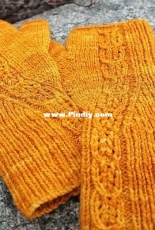 Ginger Beer Mitts by Thea Colman