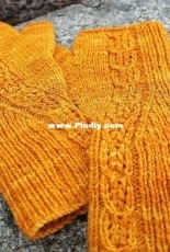 Ginger Beer Mitts by Thea Colman
