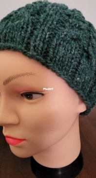 Shelden  Beanie by Rachel Nutting-Free