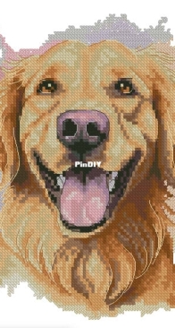 Banani Stitchery - Watercolor Golden Retriever by Anna Banani XSD
