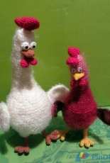 Cocks-friends