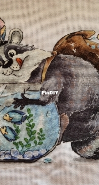 Raccoon / Енот