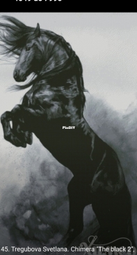 Chimera - Black Horse II