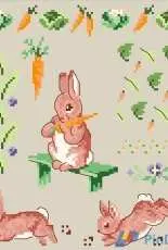 Veronique Enginger - Le Monde de Beatrix Potter page 10 PCS & XSD