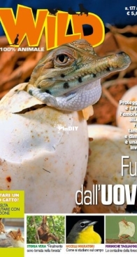 Focus Wild - April 2026 - Italian
