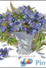 RTO M488 Primroses XSD