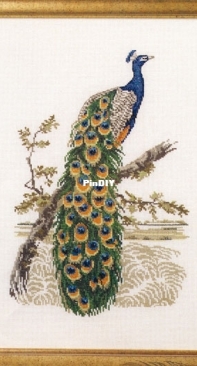 Oehlenschlager Design OOE - 99122-99123 Peacock XSD-PAT