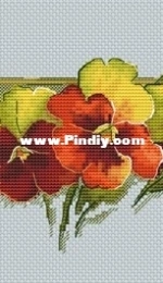 Paradise Stitch - Viola Orange by Olga Lankevich
