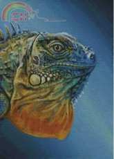 HAED HAEDAEN 128 Harold by Arden Ellen Nixon