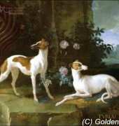 Golden Kite GK 1232 - Misse and Turlu