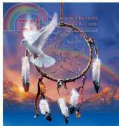 HAED - HAEDAP 1024 Dreamcatcher - David Penfound Artworks