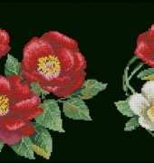 Rose hip from Українська вишивка Ukrainian embroidery 16 2013 XSD