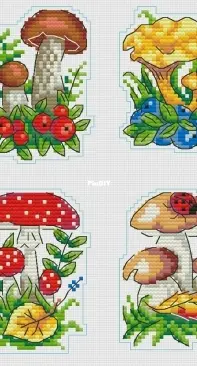 MP studia Р-486  Mushroom basket XSD