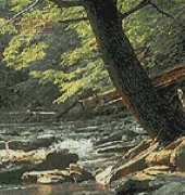 Artecy Cross Stitch - Catoctin